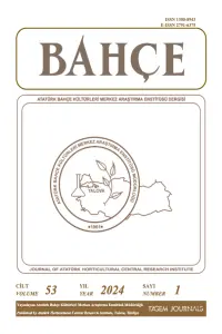 Doku Kültürüyle Maviyemiş (Vaccinium corymbosum cv. Duke) Çoğaltımında Yeni Nesil Biyoreaktör Kullanımı Üzerine Bir Araştırma